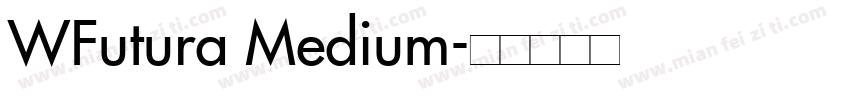 WFutura Medium字体转换